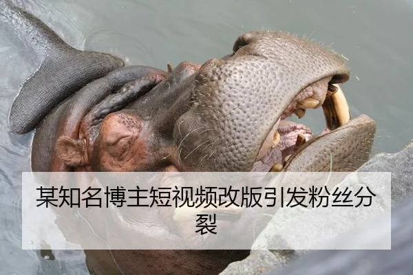 某知名博主短视频改版引发粉丝分裂